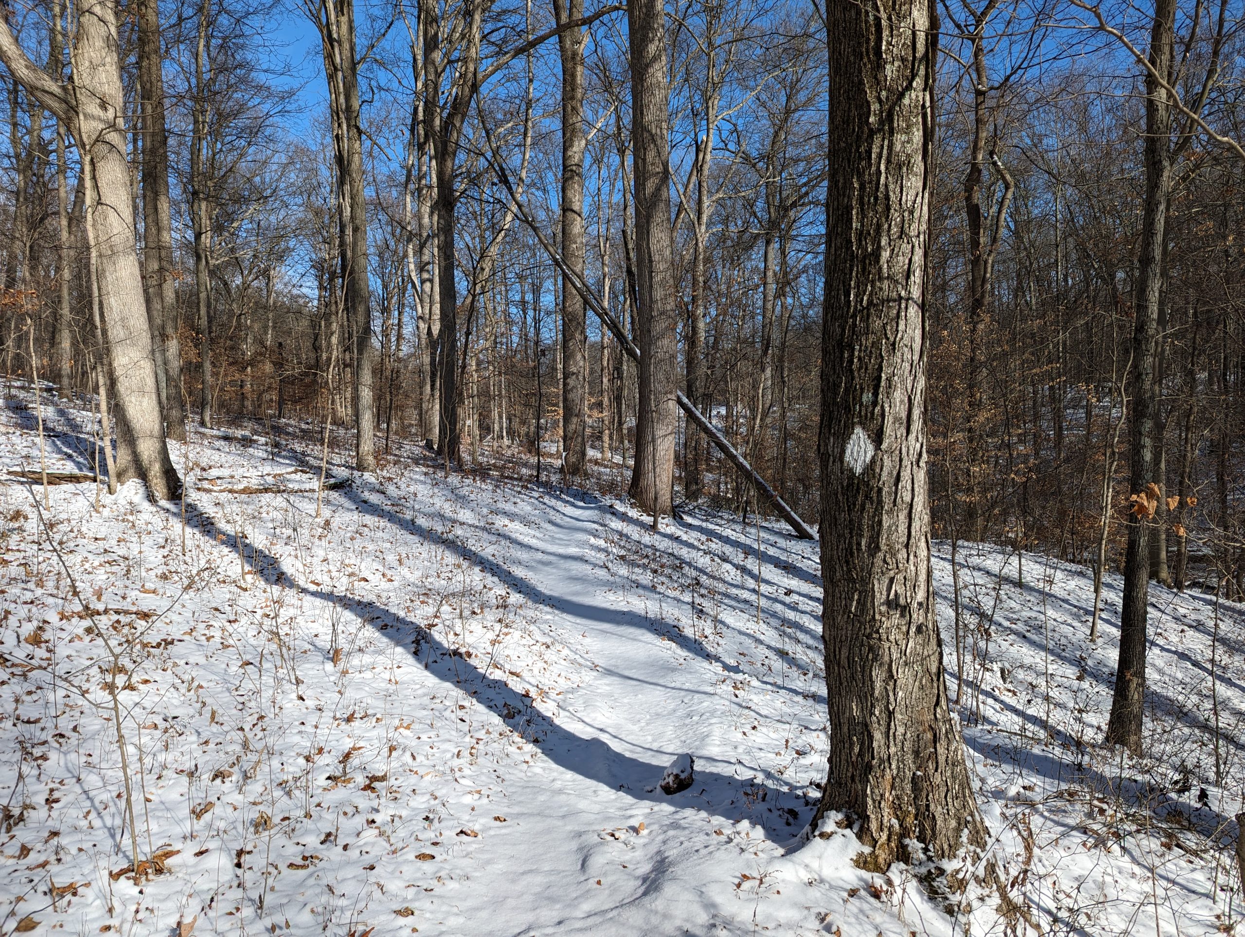 Chasing Snowflakes: The Thrill of Winter Hiking and How to Get Started